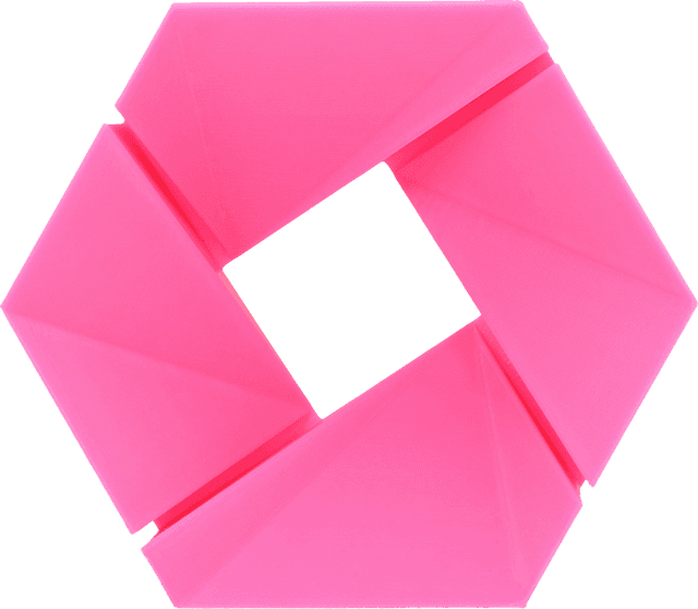 3DJAKE ABS, Rosa